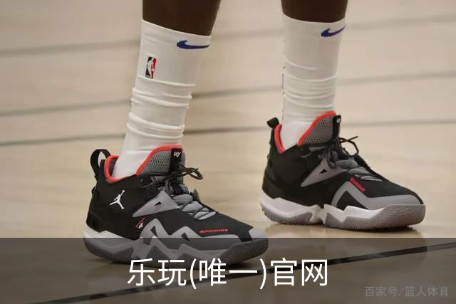乐玩(唯一)官网公司介绍图片